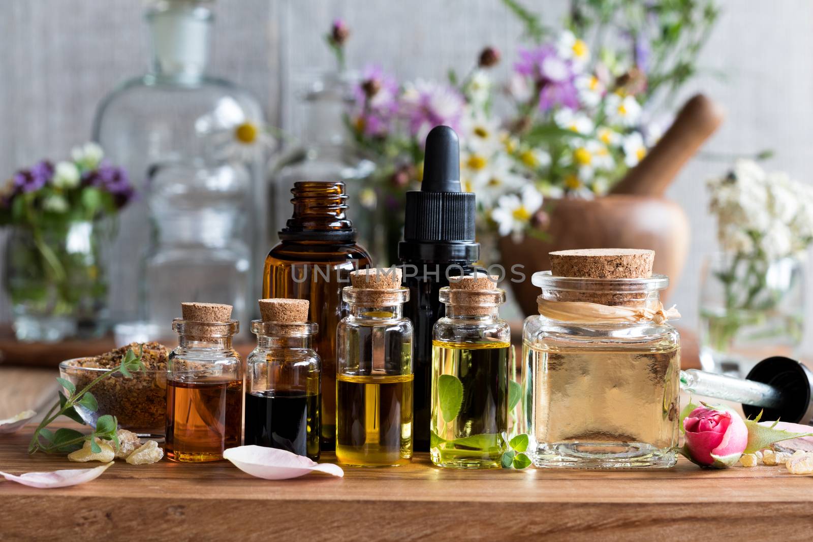 Selection of essential oils with herbs and flowers by madeleine_steinbach