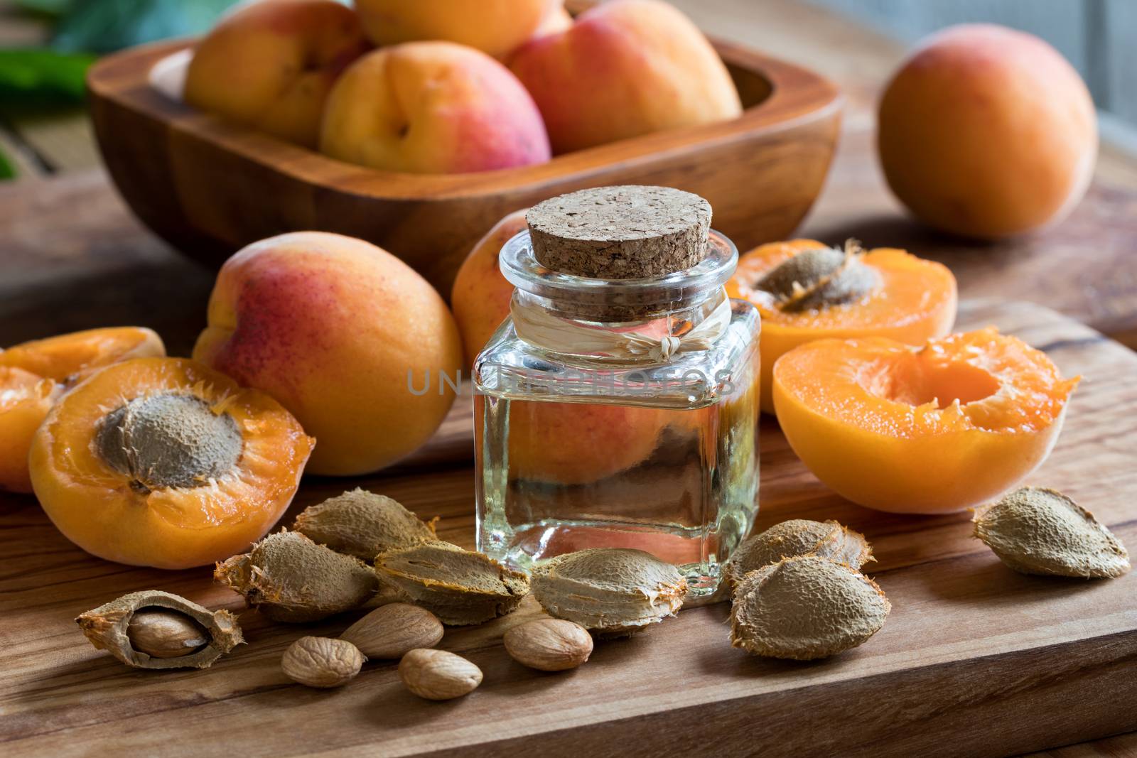 A bottle of apricot kernel oil with apricot kernels and apricots by madeleine_steinbach