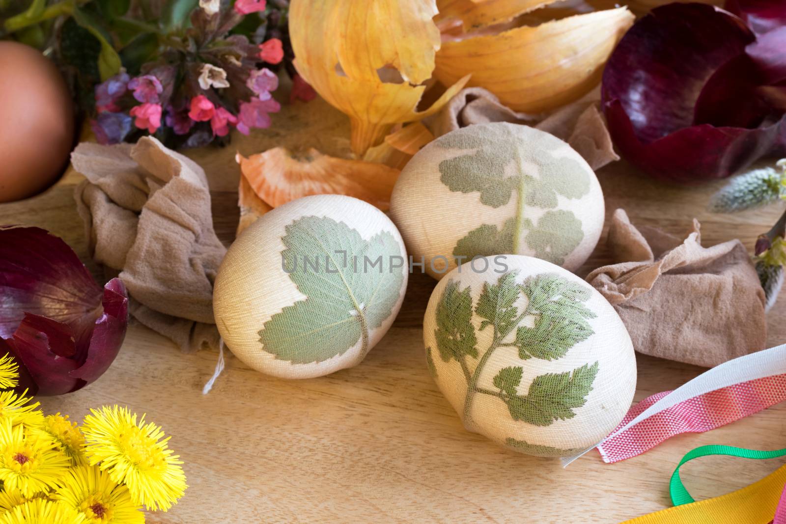 Preparation of Easter eggs for dying with onion peels: eggs with a pattern of fresh herbs, onion peels, and spring flowers (coltsfoot, lungwort) in the background