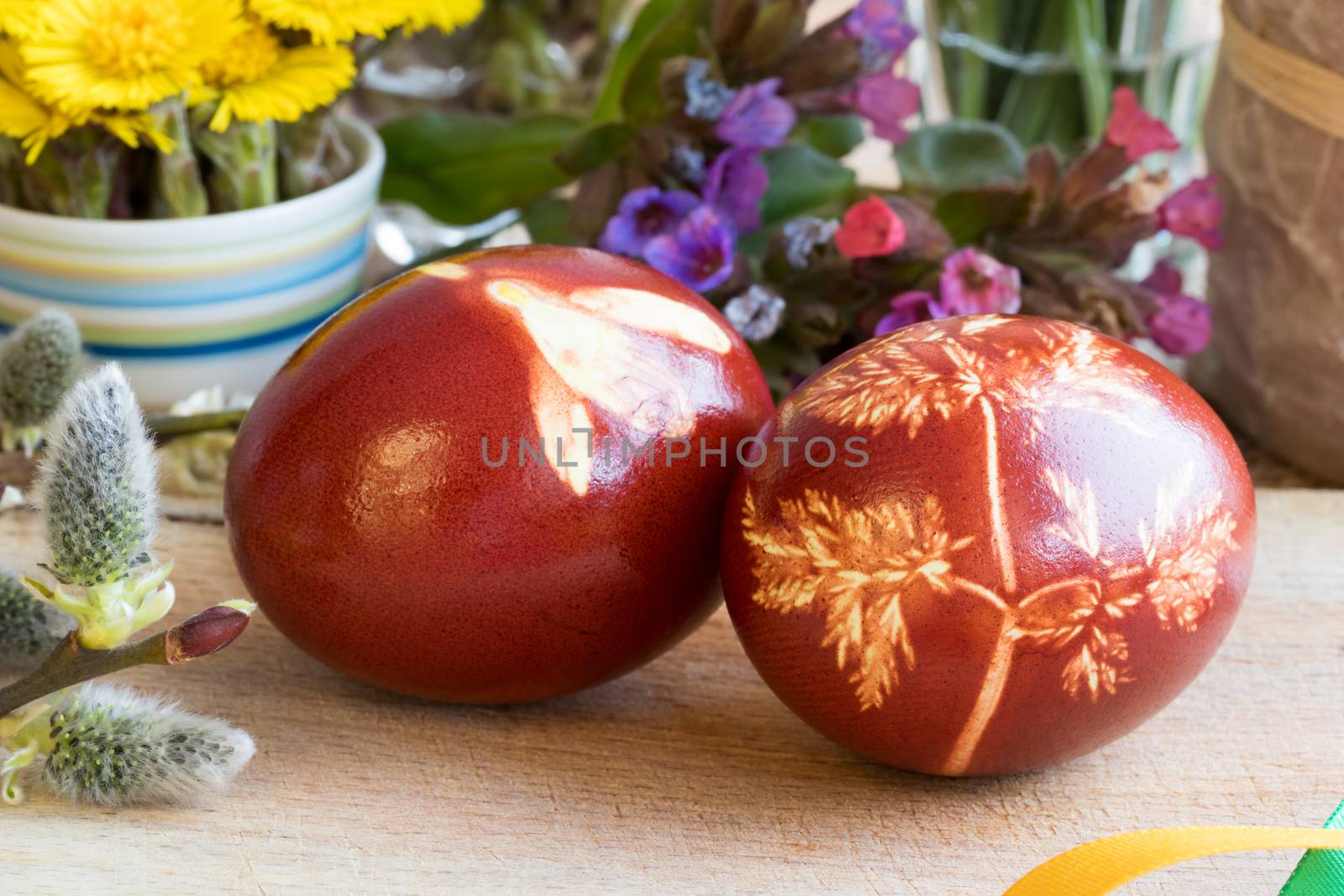 Easter eggs dyed with onion peels with a pattern of fresh herbs, with pussy willow, lungwort and coltsfoot in the background