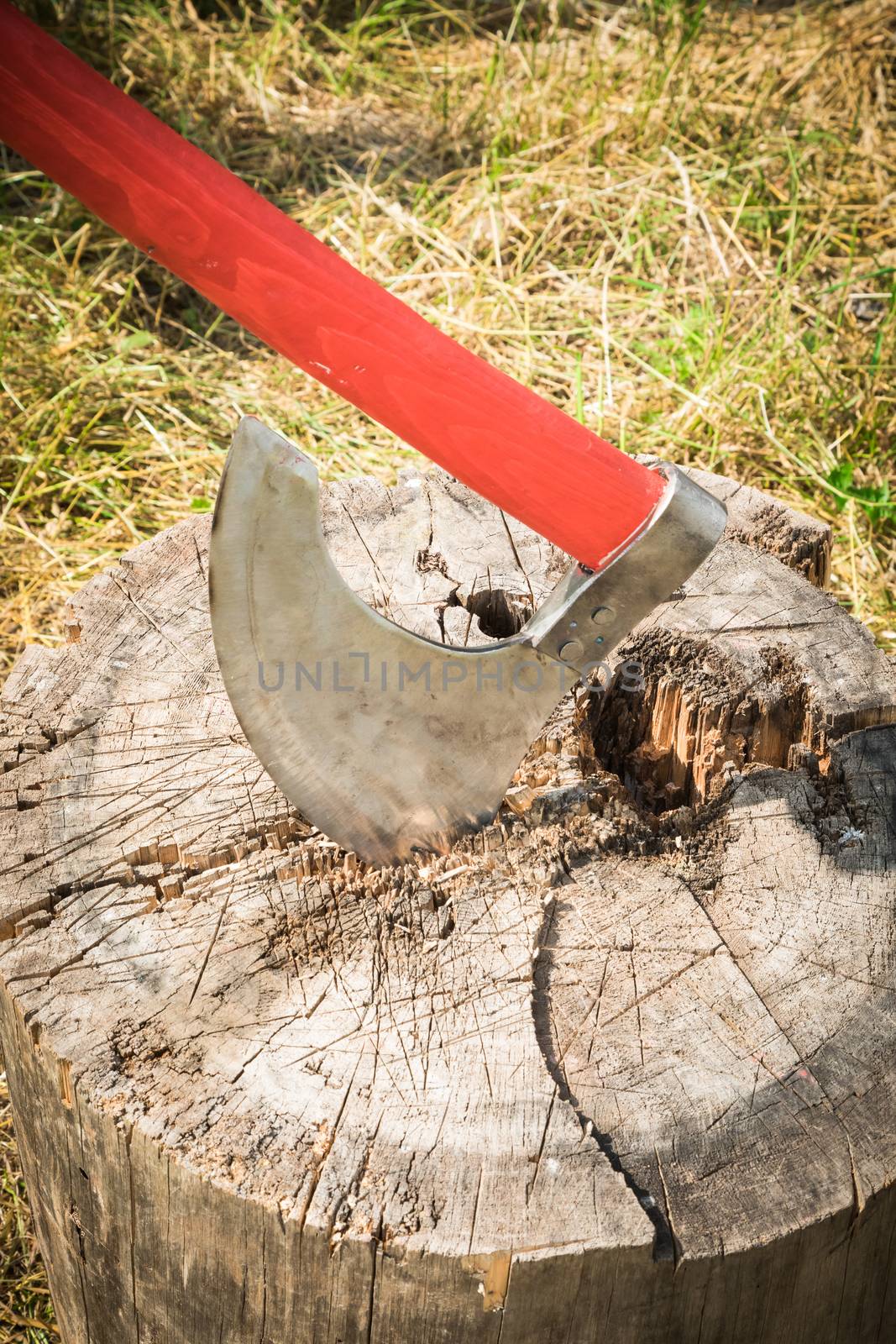 the big axe cuts a tree on a grass