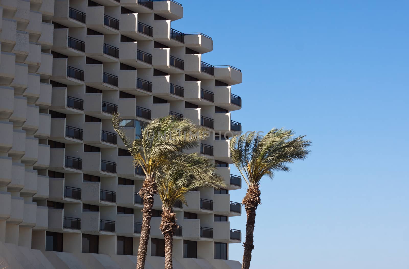 white hotel windows with palm tree and blue sky