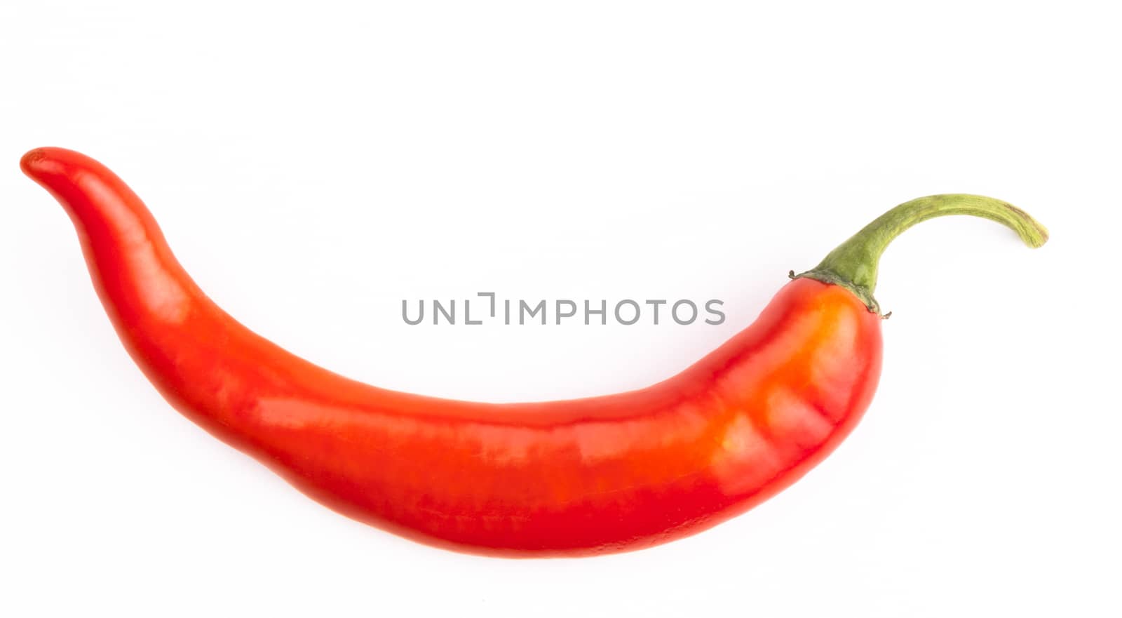 Single Red Hot Chilli Pepper isolated on white background