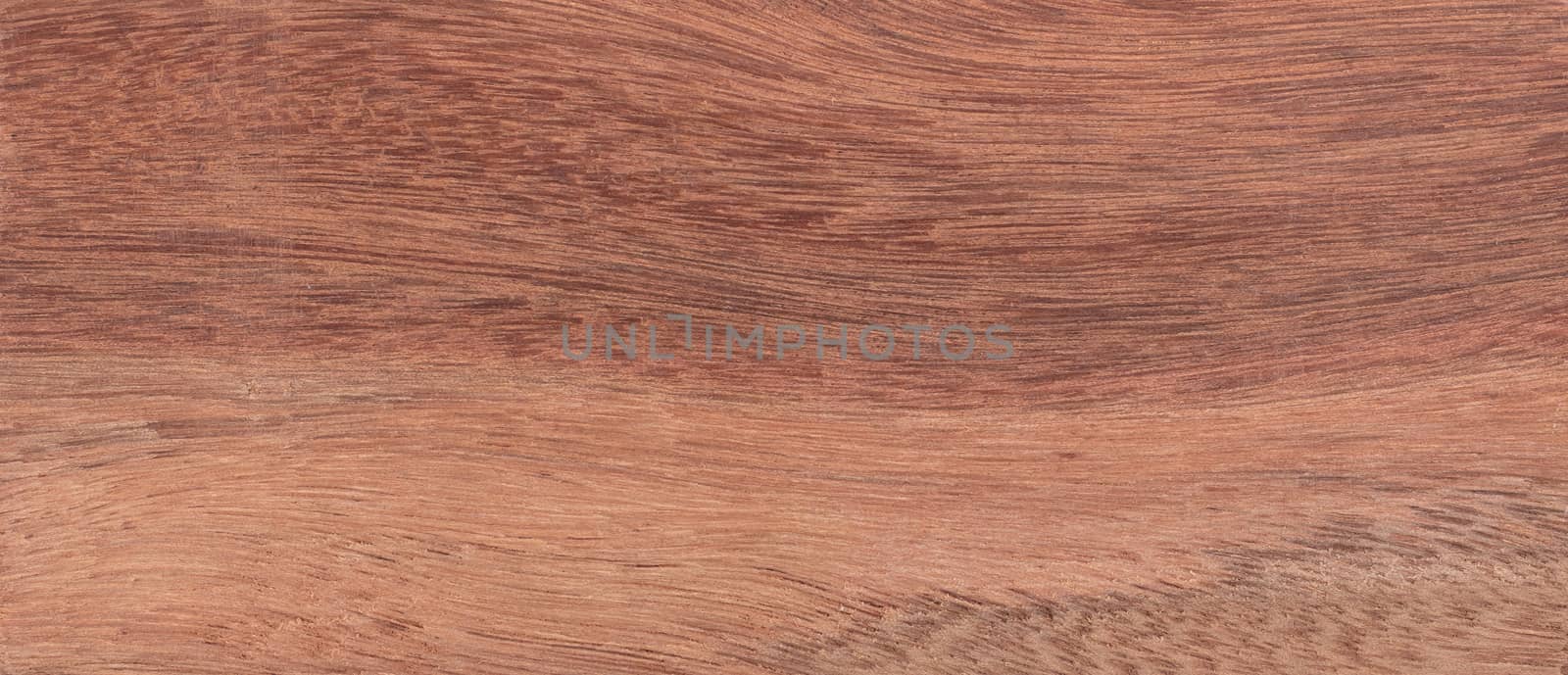 Wood background - Wood from the tropical rainforest - Suriname - Moraexcelsa Benth