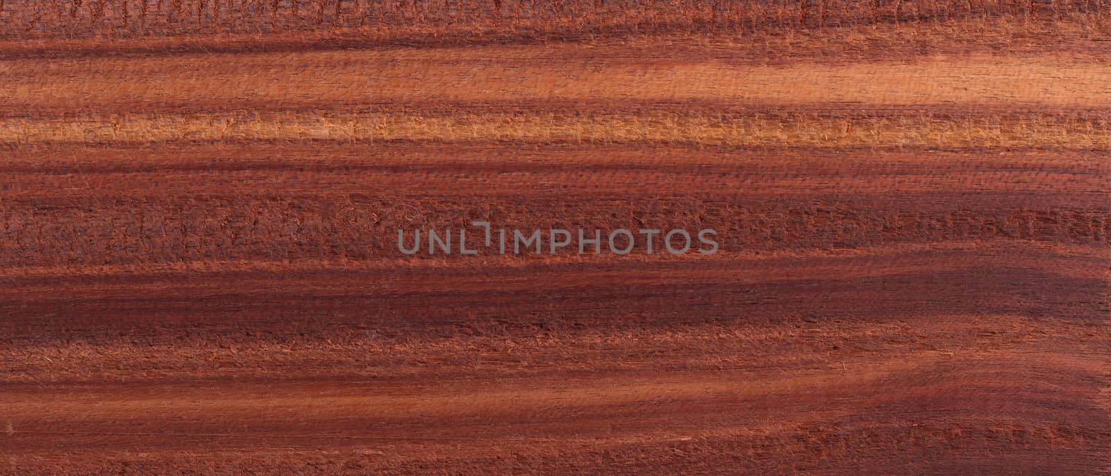Wood from the tropical rainforest - Suriname - Brosimum paraense by michaklootwijk