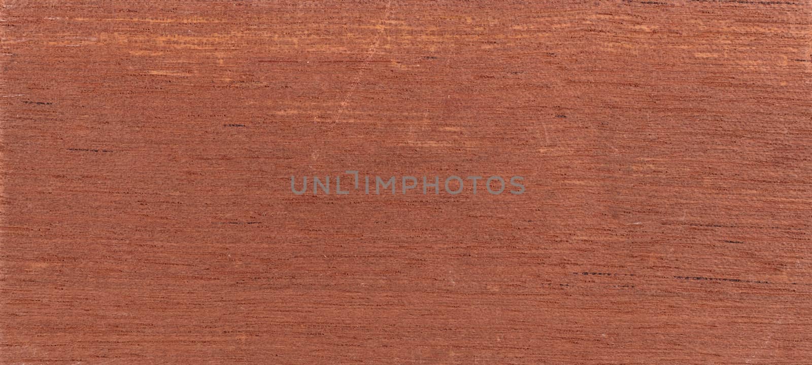Wood background - Wood from the tropical rainforest - Suriname - Cedrela odorata