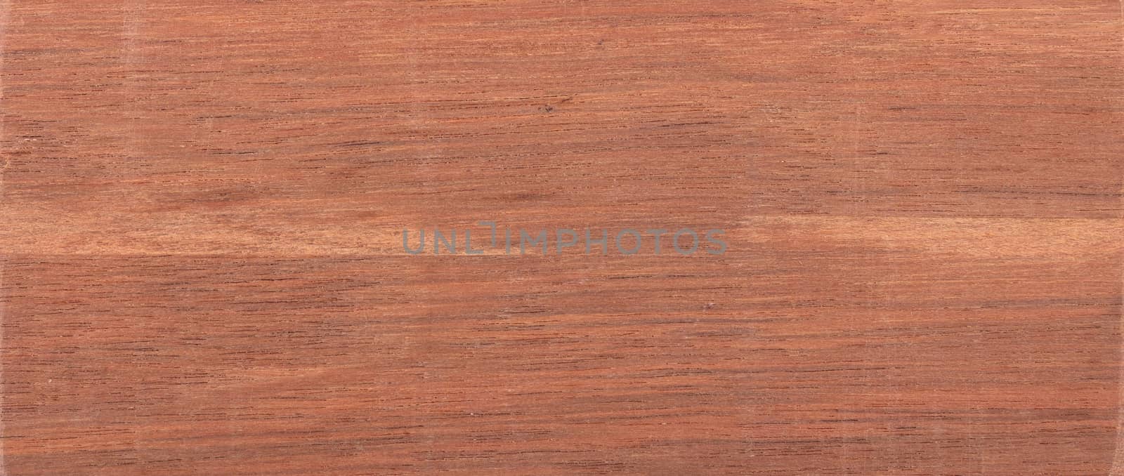 Wood background - Wood from the tropical rainforest - Suriname - Coupia glabra Aubl