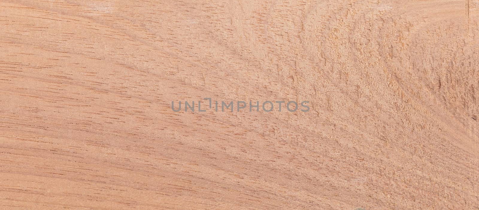 Wood background - Wood from the tropical rainforest - Suriname - Couratari spp