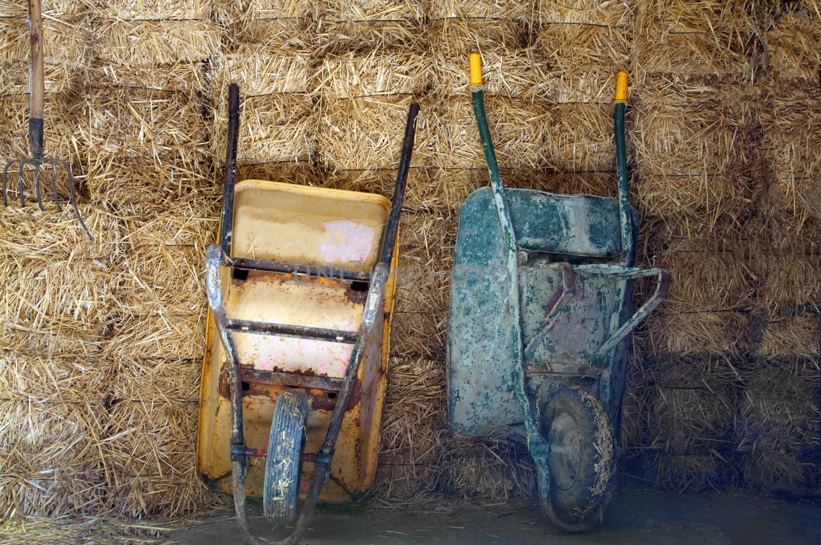 Two old wheelbarrows on the hay background, farm