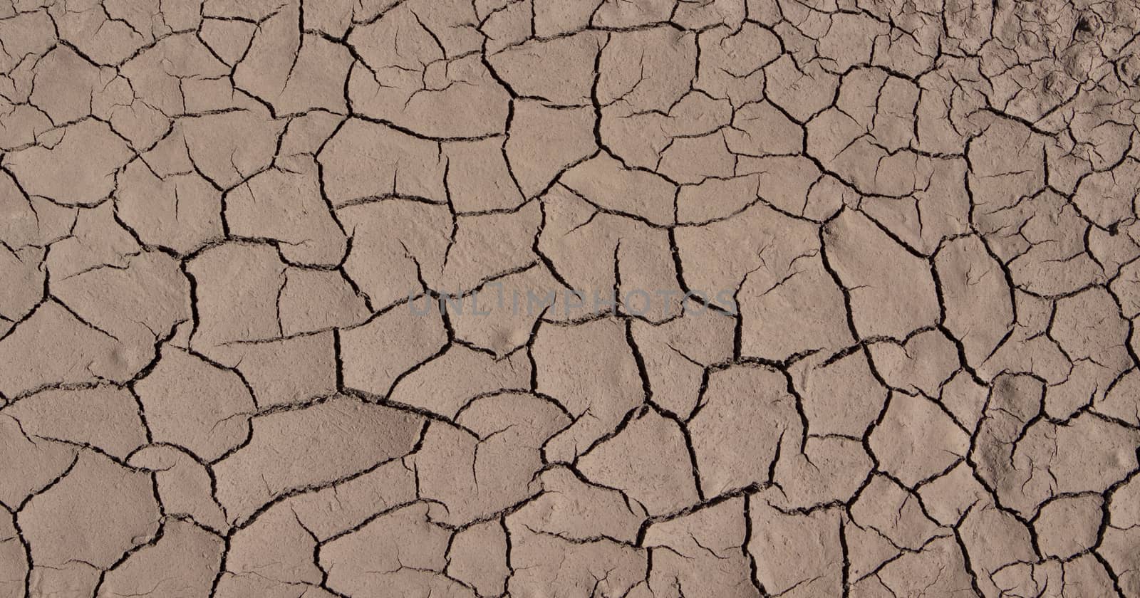 brown clacked and dry desert soil closeup