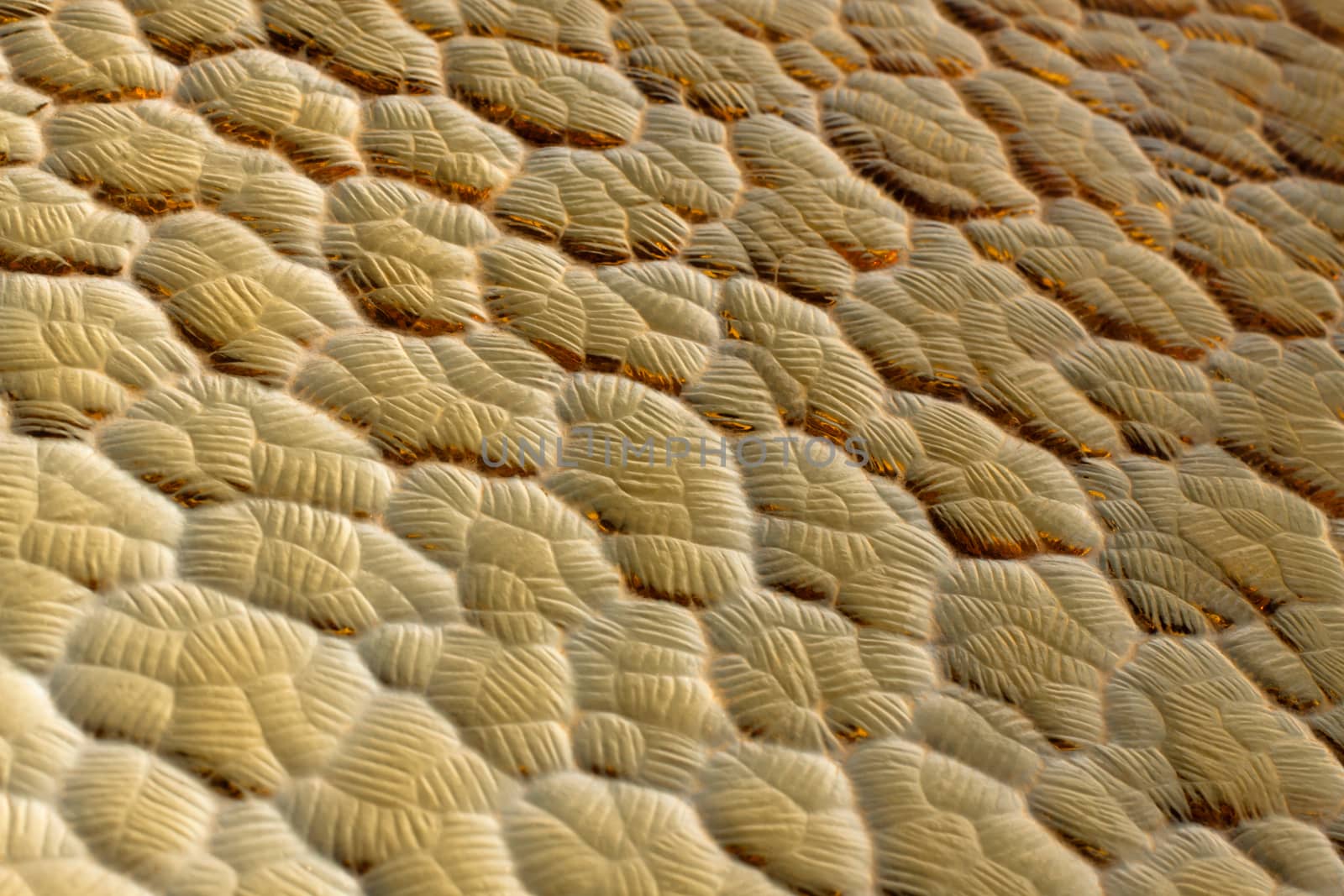 abstract pattern on yelow glass closeup