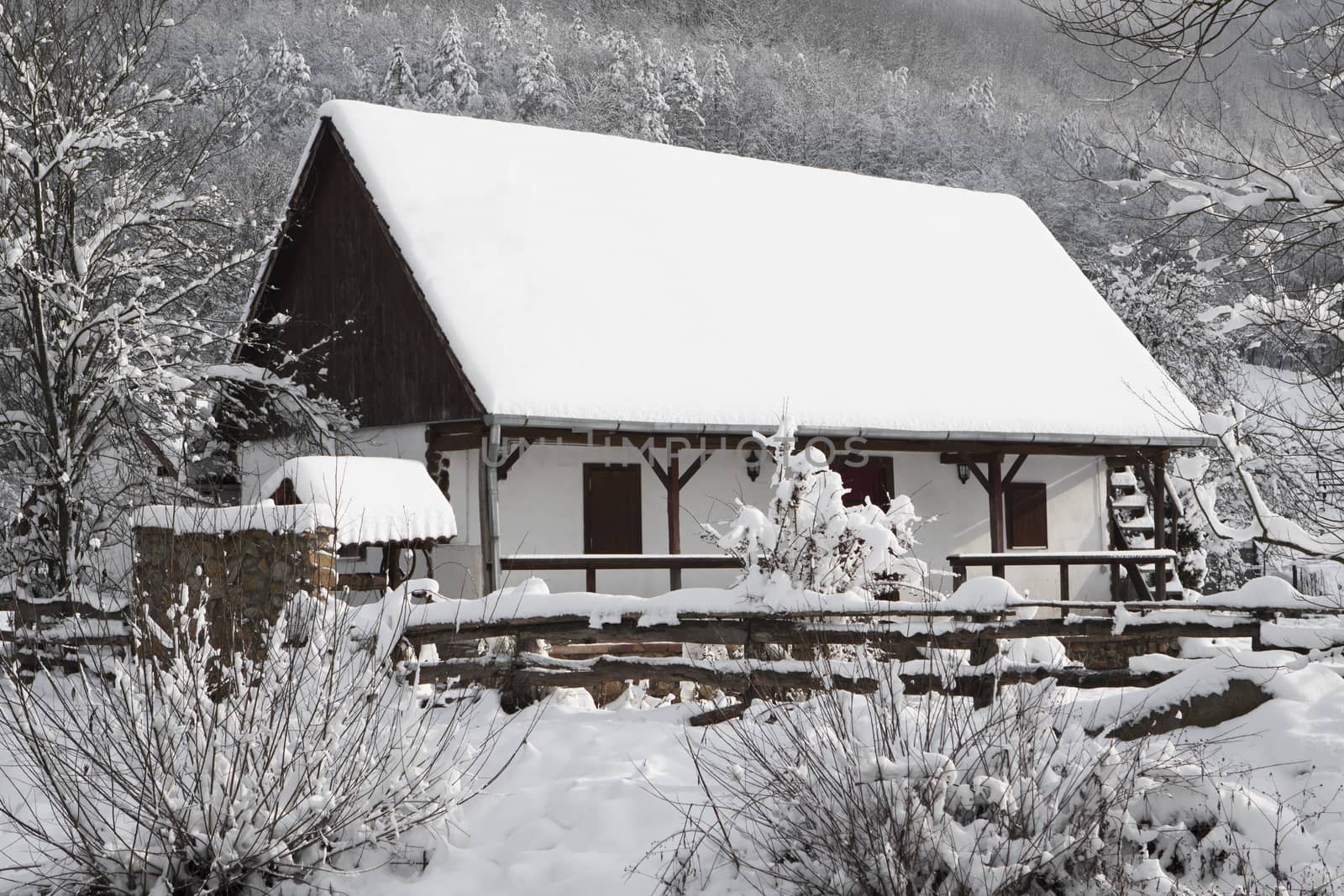 small house cabin in the forest in winter time covered with snow