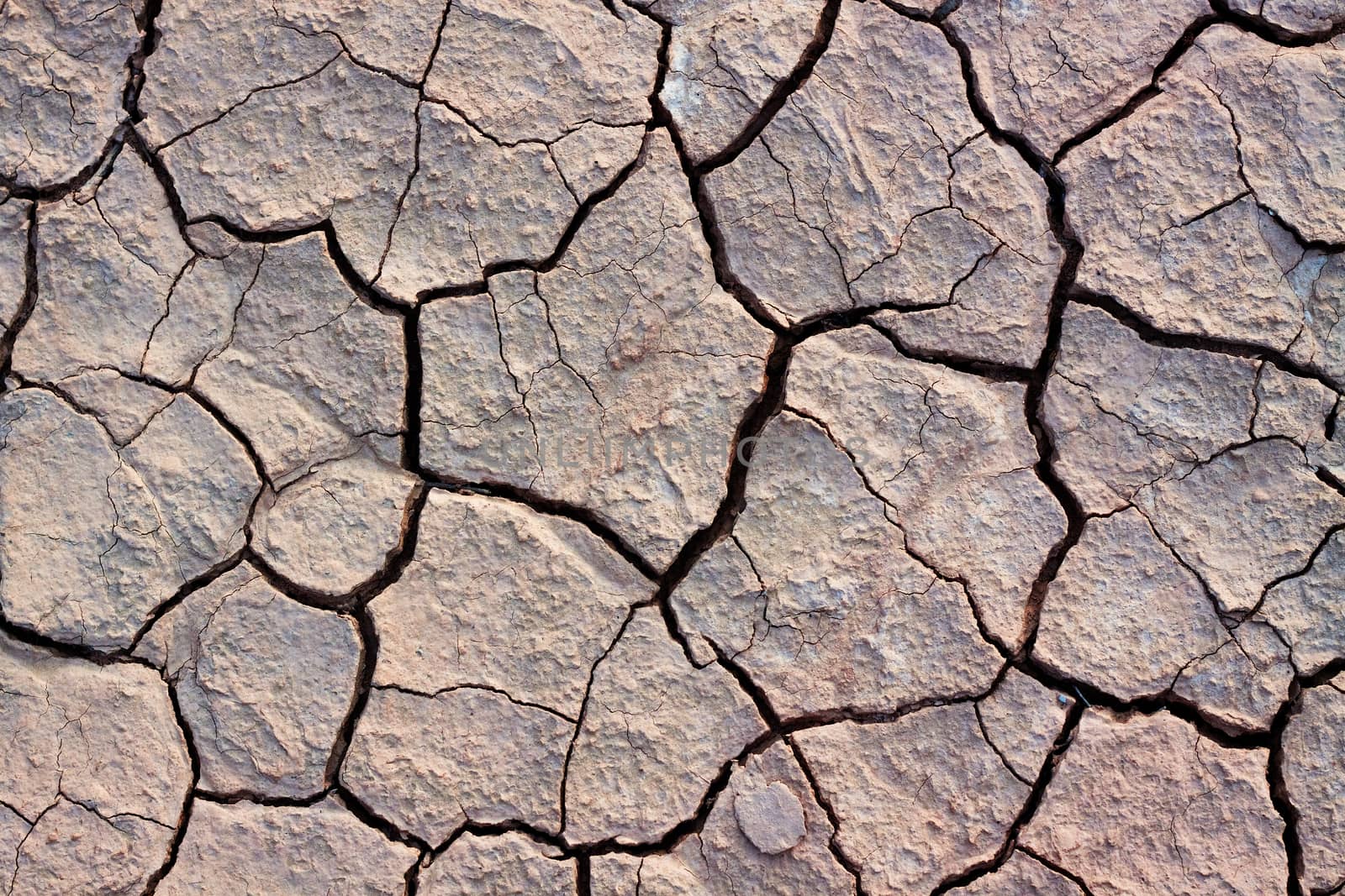 dri desert land with cracks all over