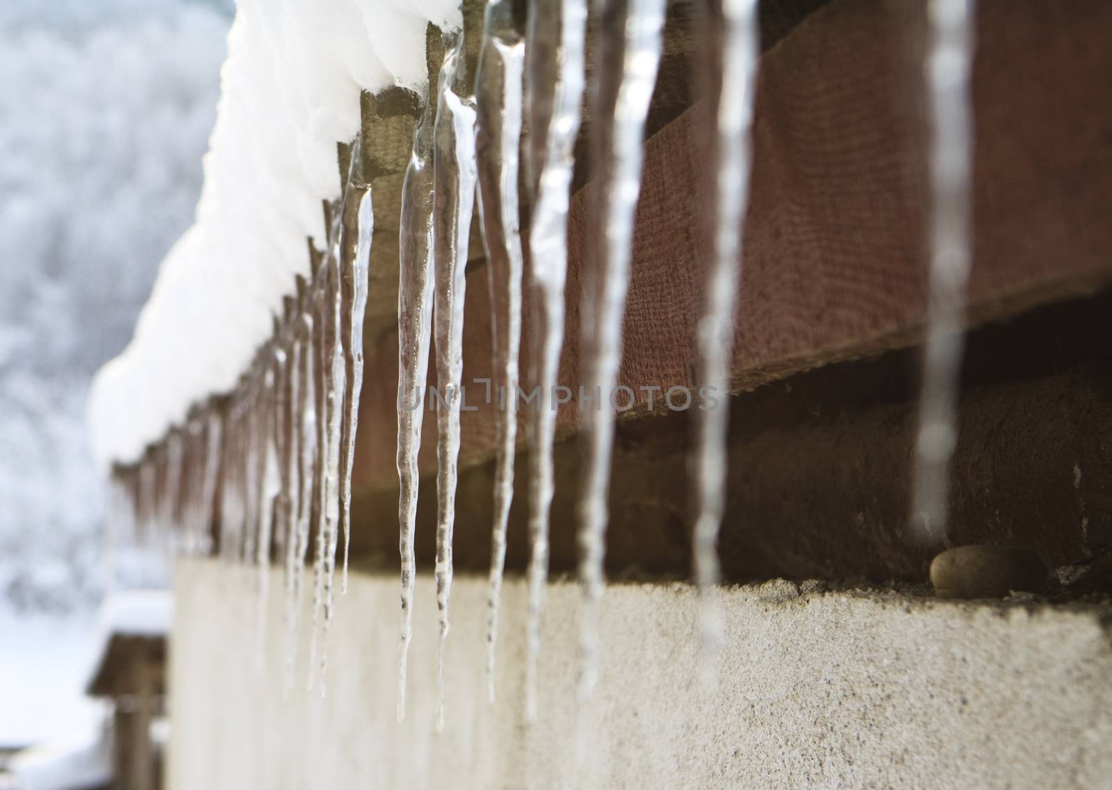 icicle on the roof edge in the cold winter