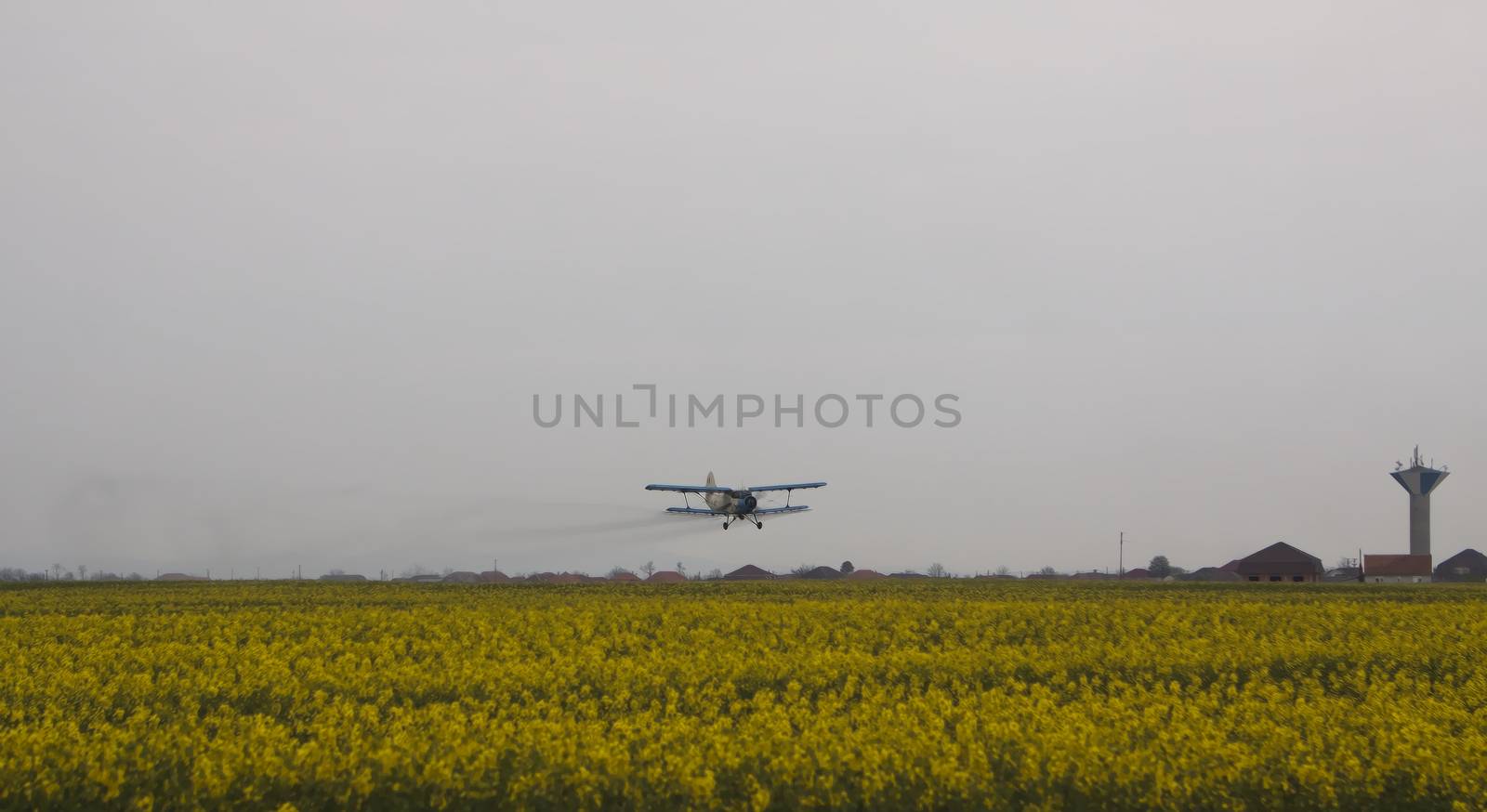 drowing painted style airplane in yellow field with houses in the background