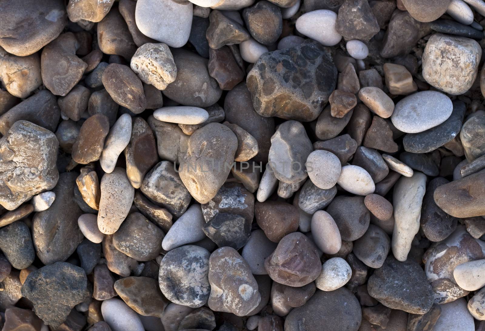 various colored small river stones and shells