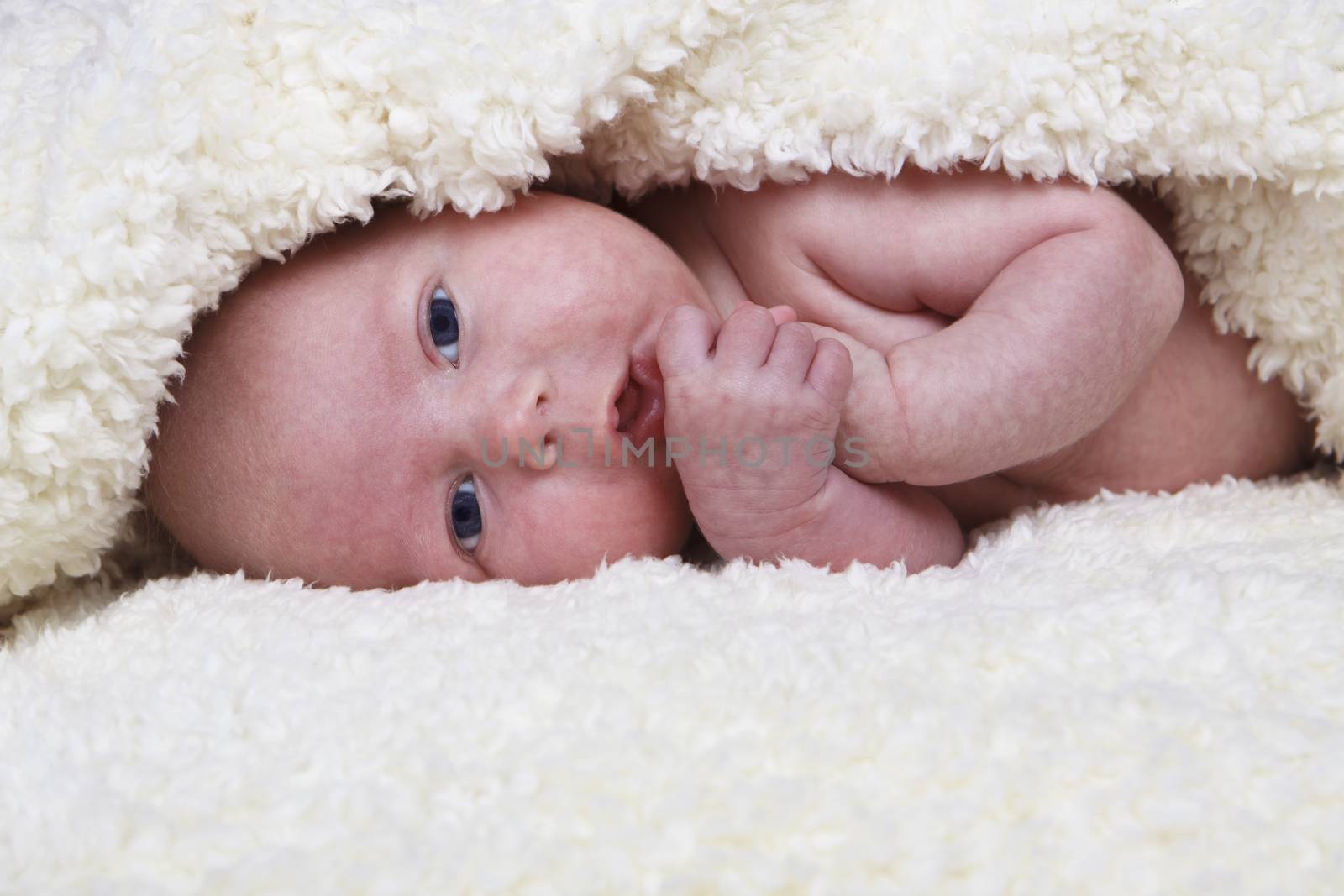 newborn baby lying in bed  on a soft blanket with eyes wide open