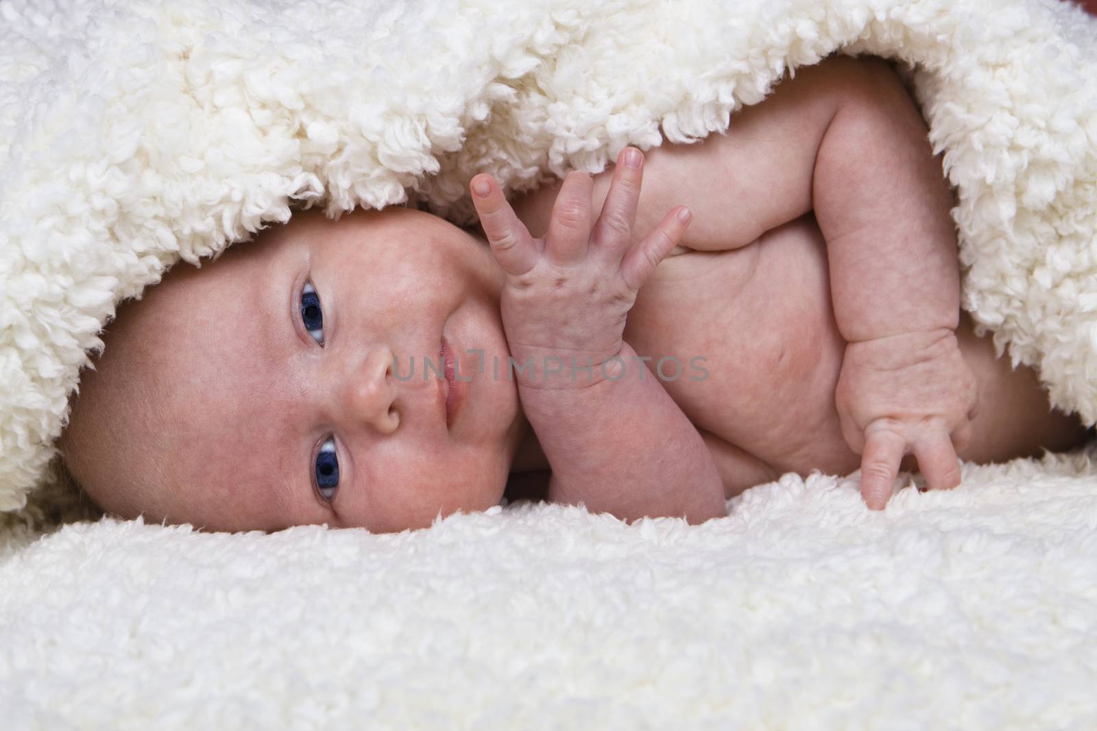newborn baby with blue eyes laying in a soft blanket 