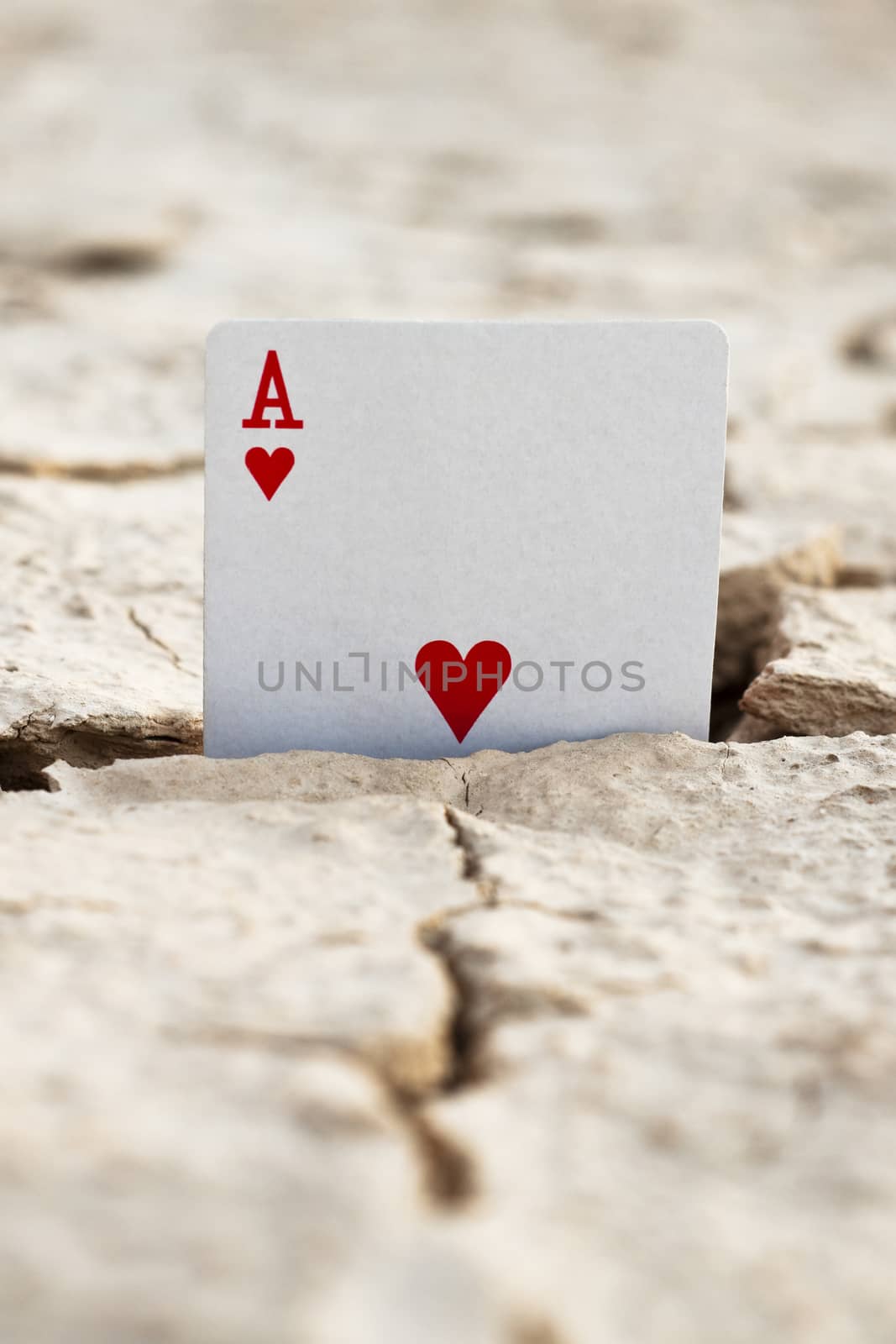 red ace playing card in a cracked desert grounds