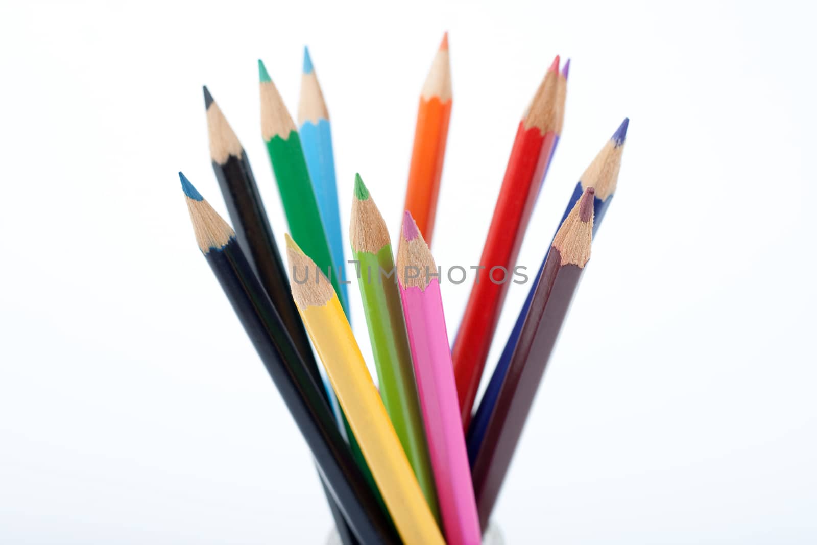 colored pencils standing upwords on white background