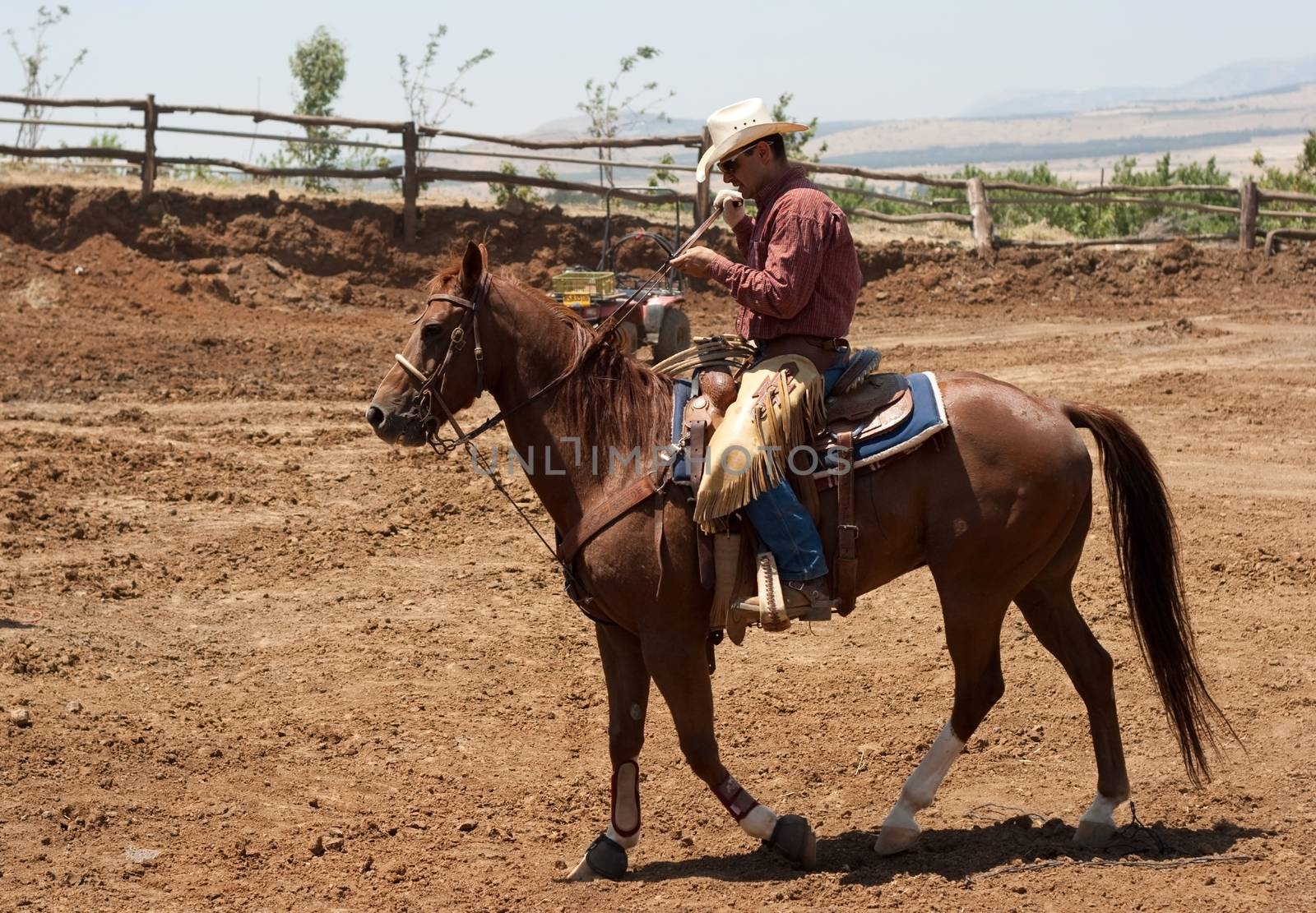 cowboy riding a dorse and locking at the cell phone