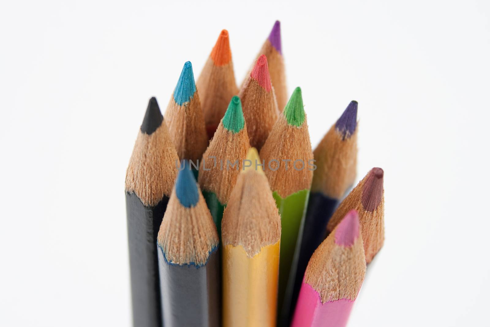 colored pencils standing upwords on white background
