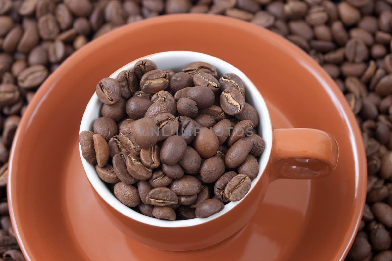 a cup full of coffee beans on cofee beans