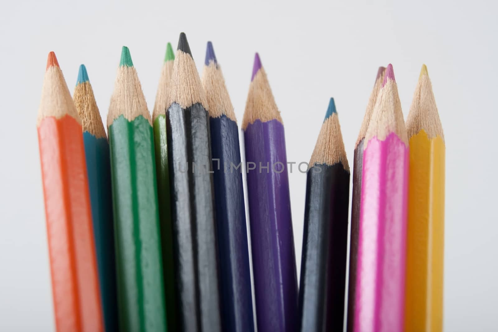 colored pencils sanding up on white background