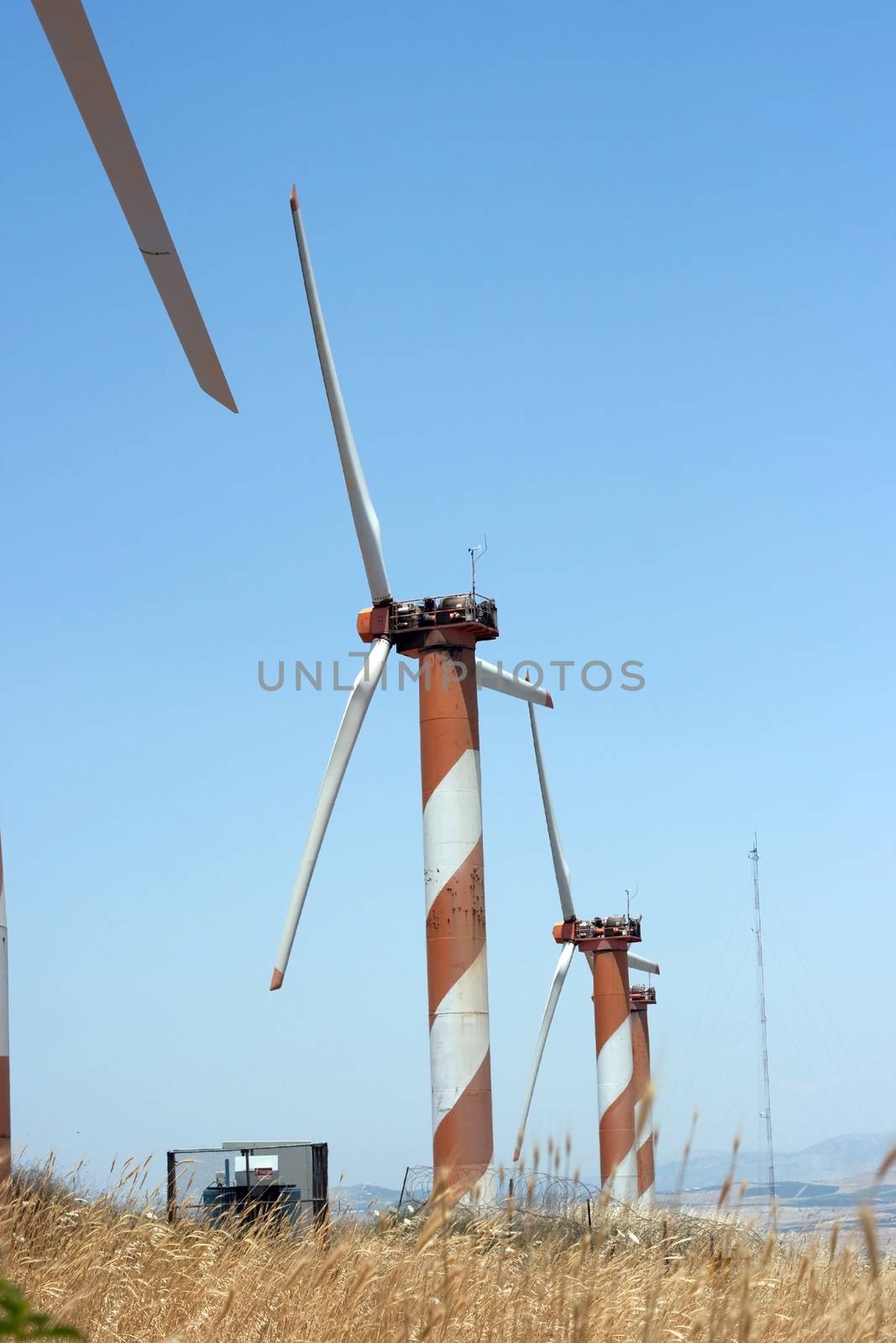 electric power generating wind turbine in the summer