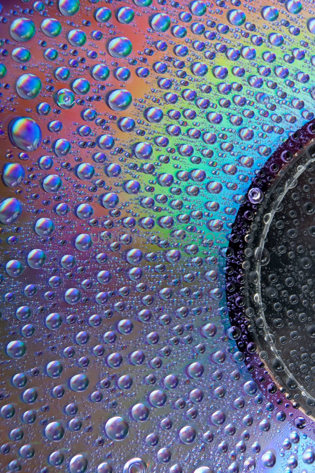 abstract colored watter drops closeup on cd