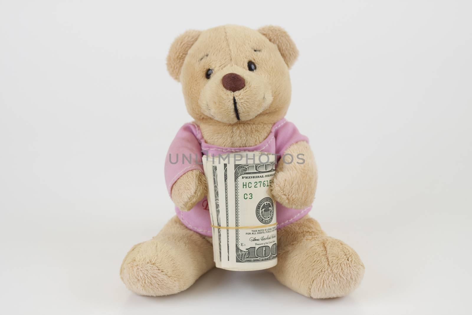teddy bear with a bunch of dollars modern life education