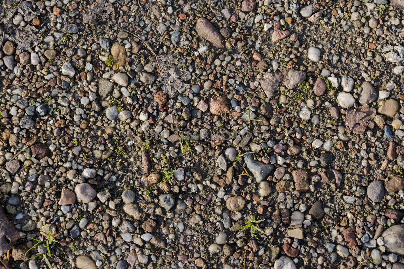 Small pebbles close up photo. Natural stone background.