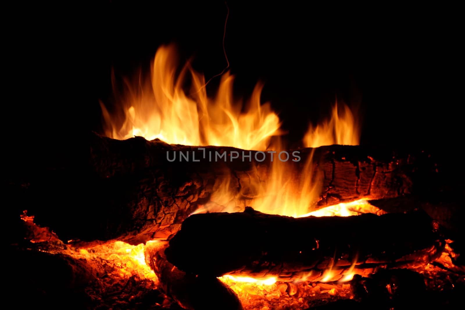 campfire flames at night