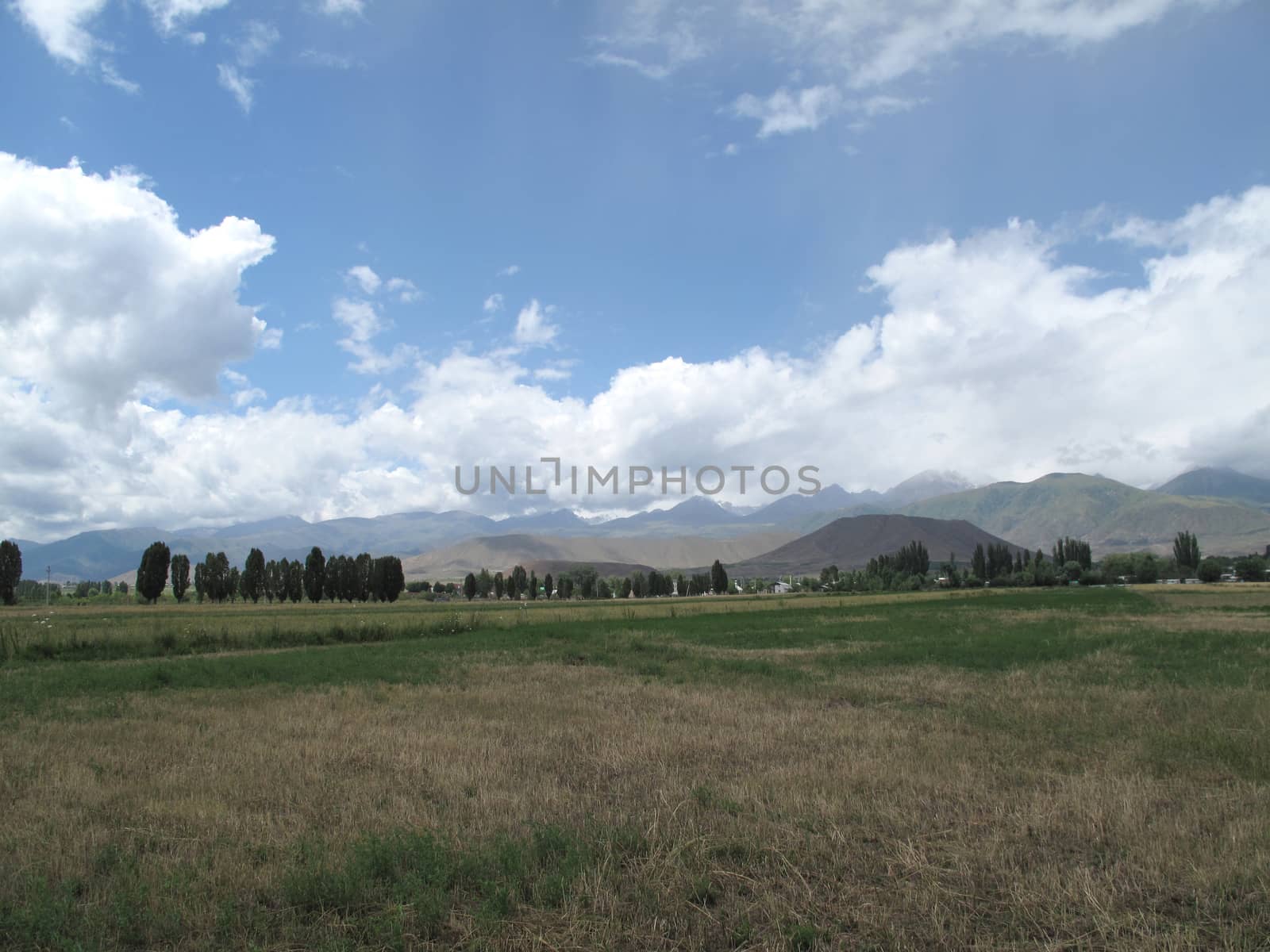 ield in the mountains of Kyrgyzstan Issyk-Kul region near the village and the beautiful sky