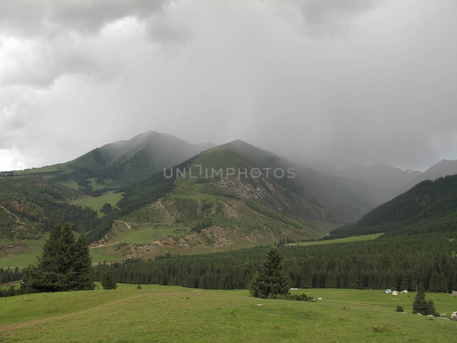heavy rain far in the mountains and coniferous forest with dark clouds                