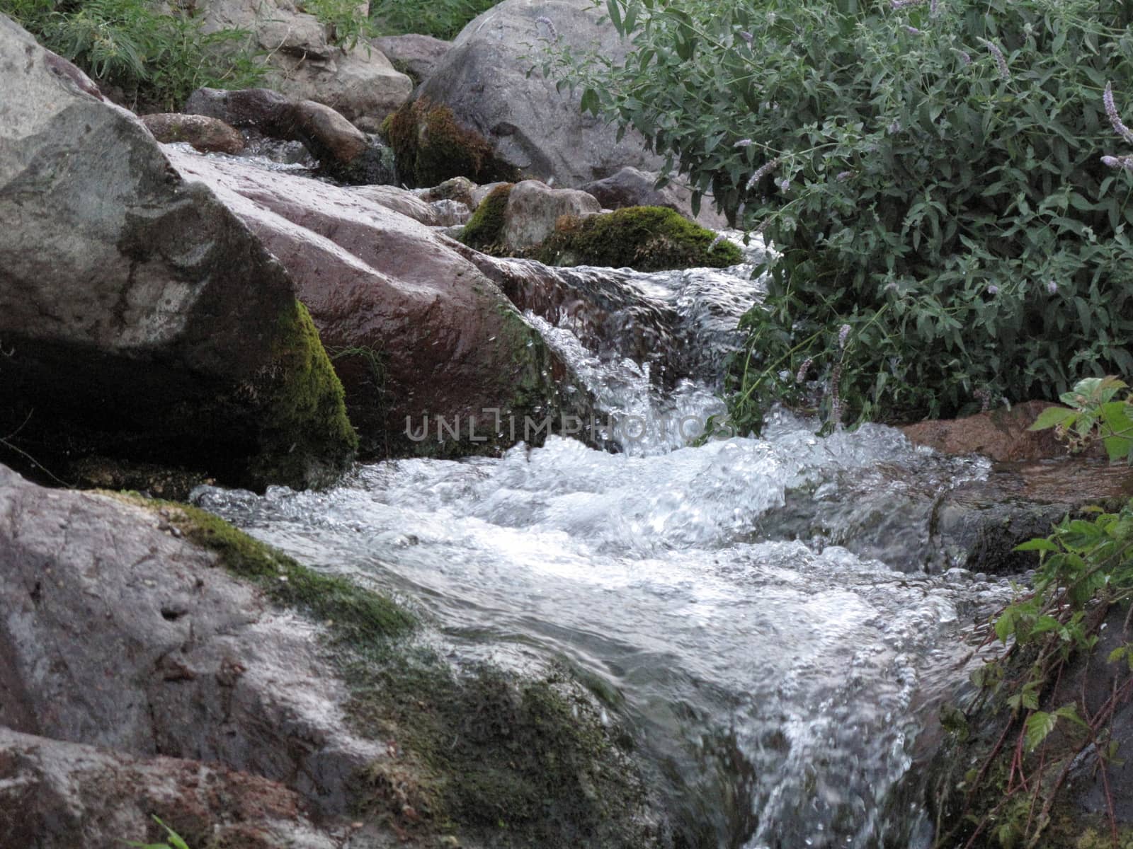 mountain quiet river creek and smells like grass                