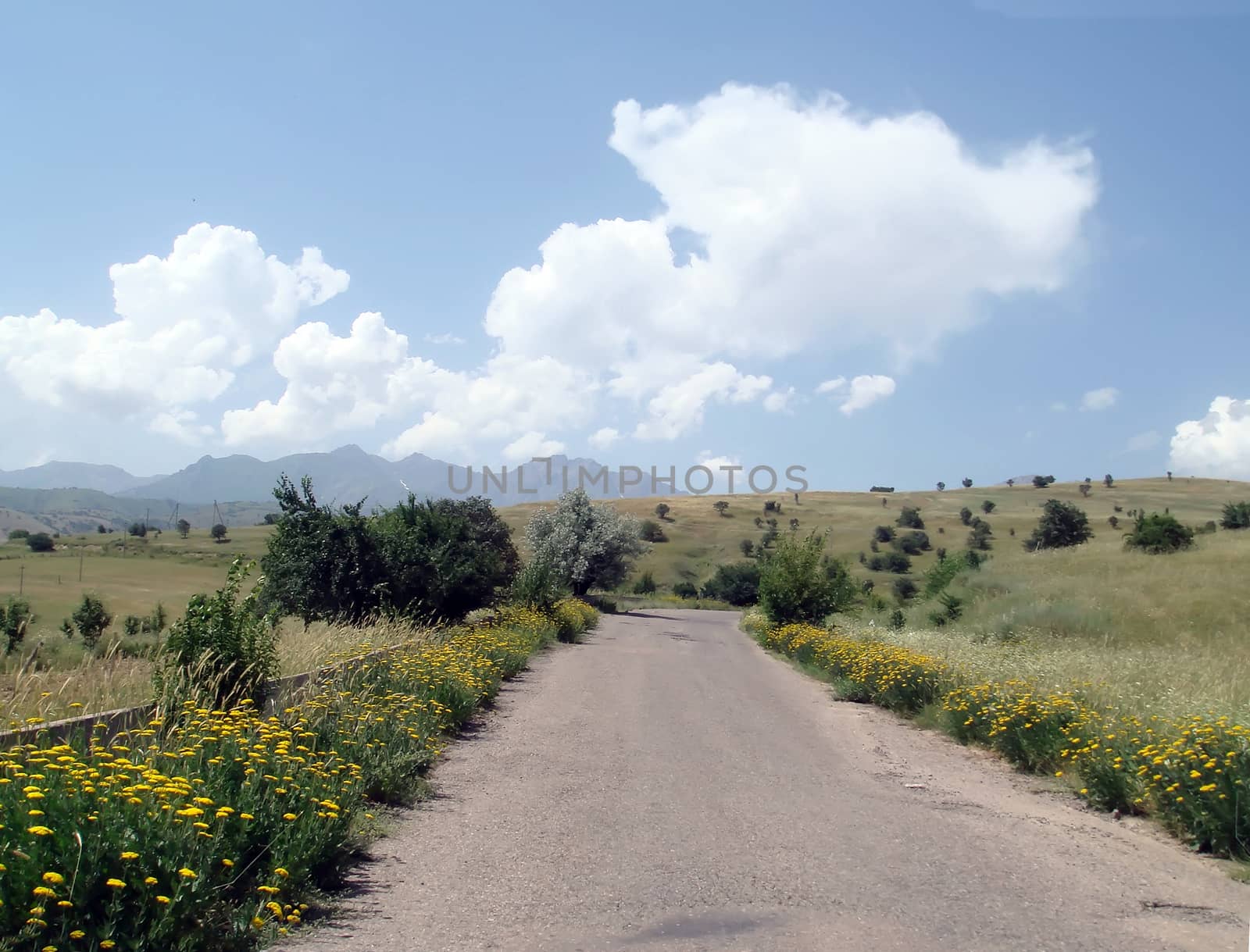 flowers along the road, and she goes into the mountains