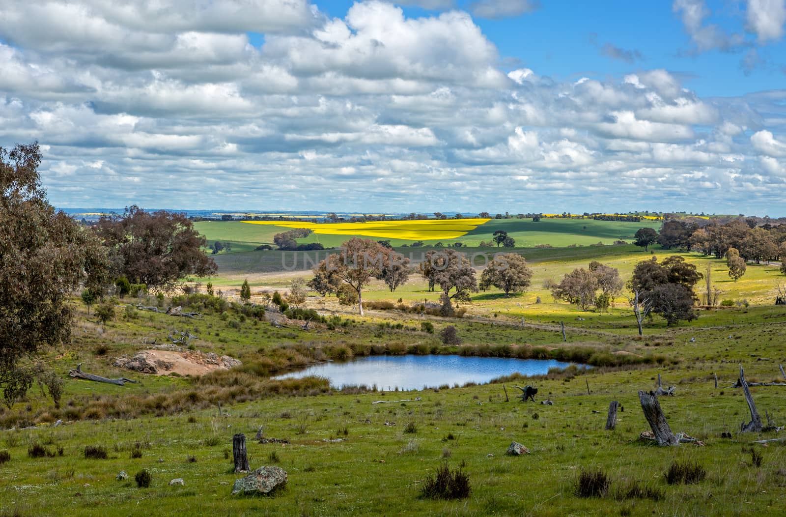 Picturesque rural farmlands as far as the eye can see by lovleah