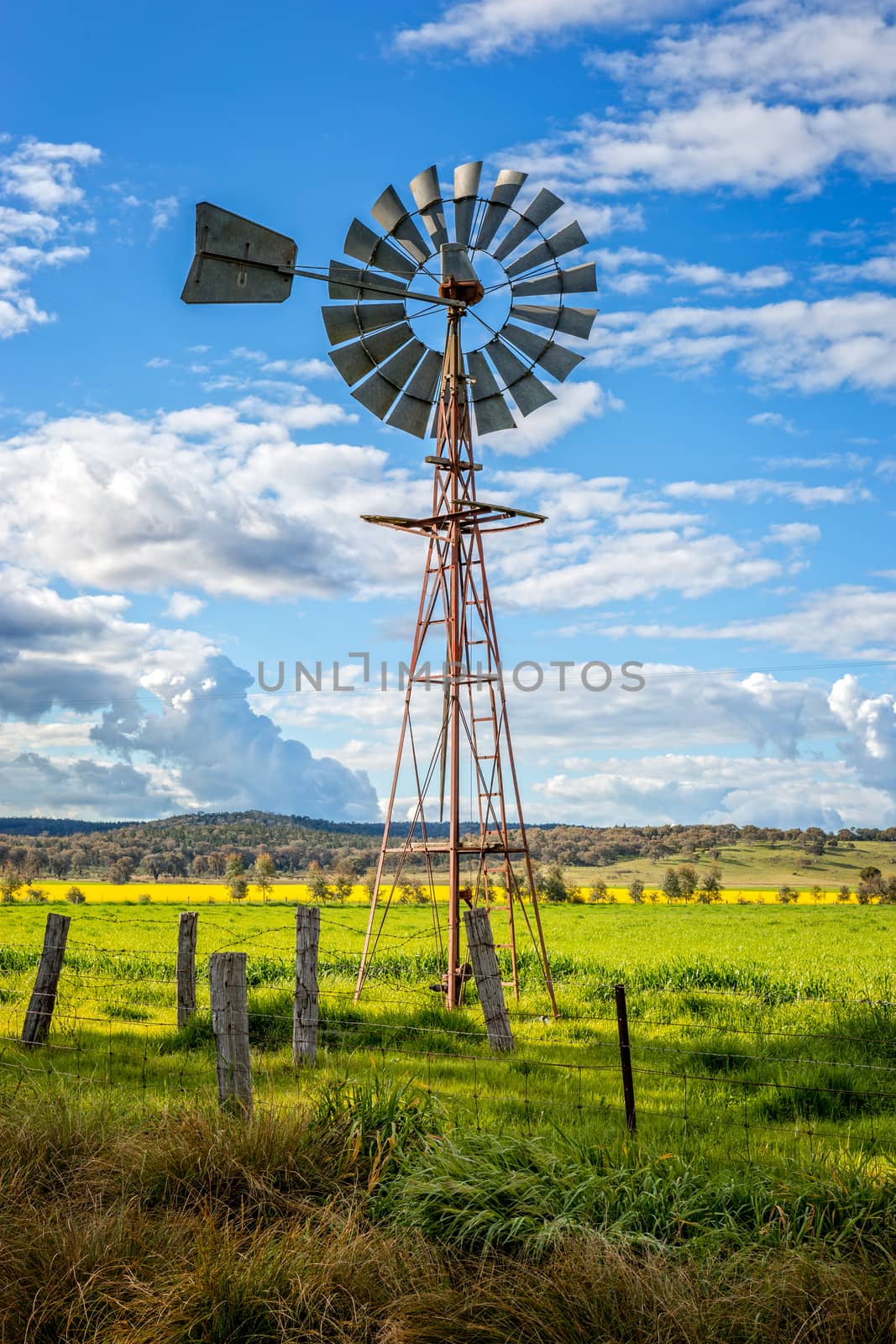 Southern cross windmill in a rural field with crops growing under a blue sky