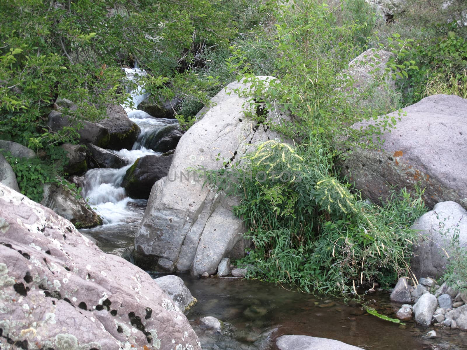 the mountain river flows to the left of a large stone with a rapid flow of stones                       