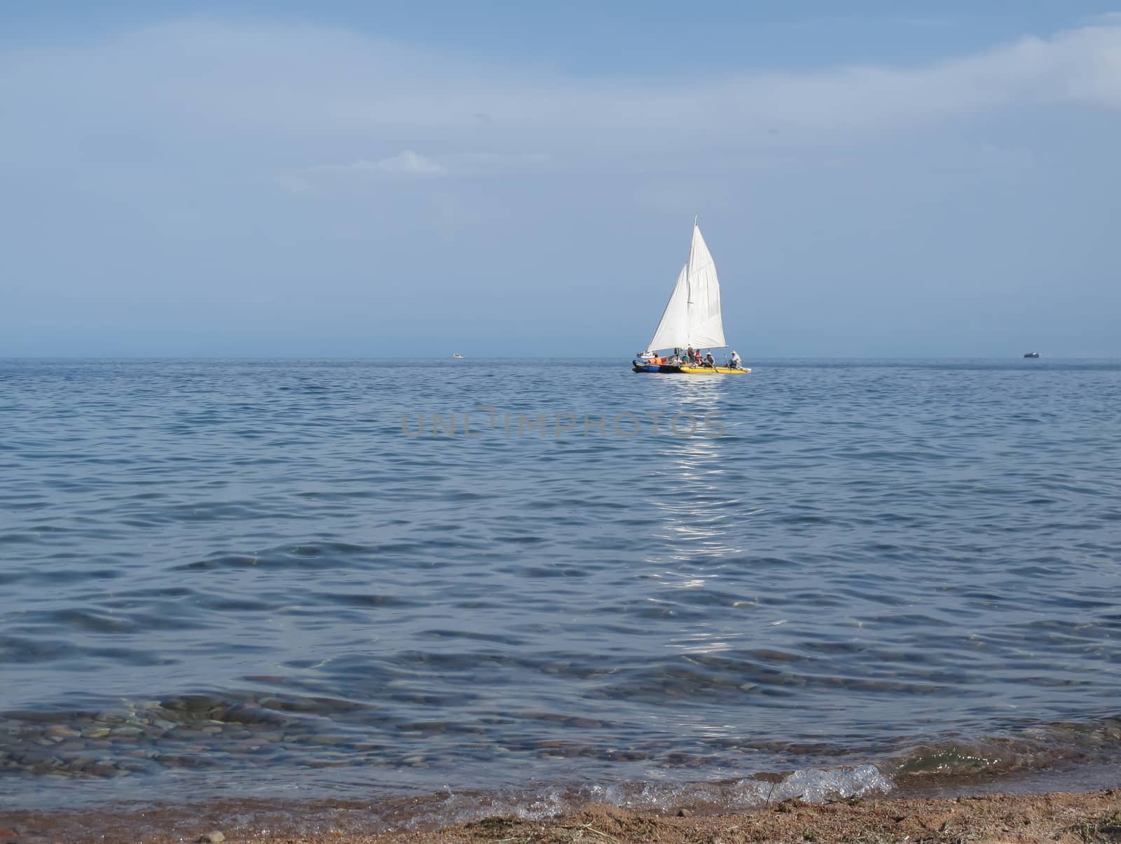 white sailboat floats in the calm sea