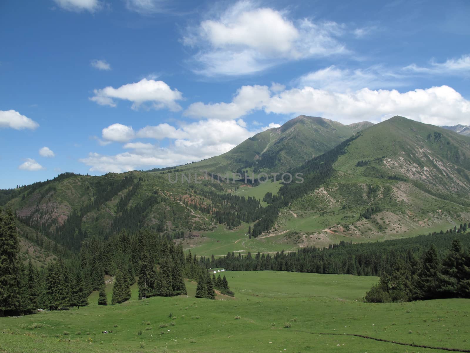 yurts in distant mountains and green trees                       