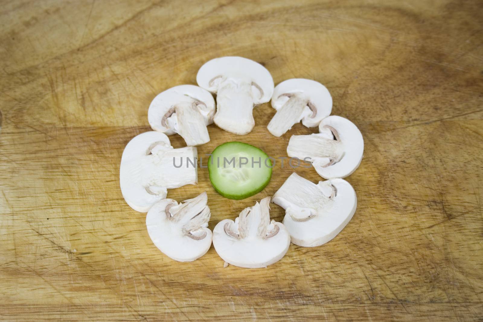 the mushroom circle by orcearo