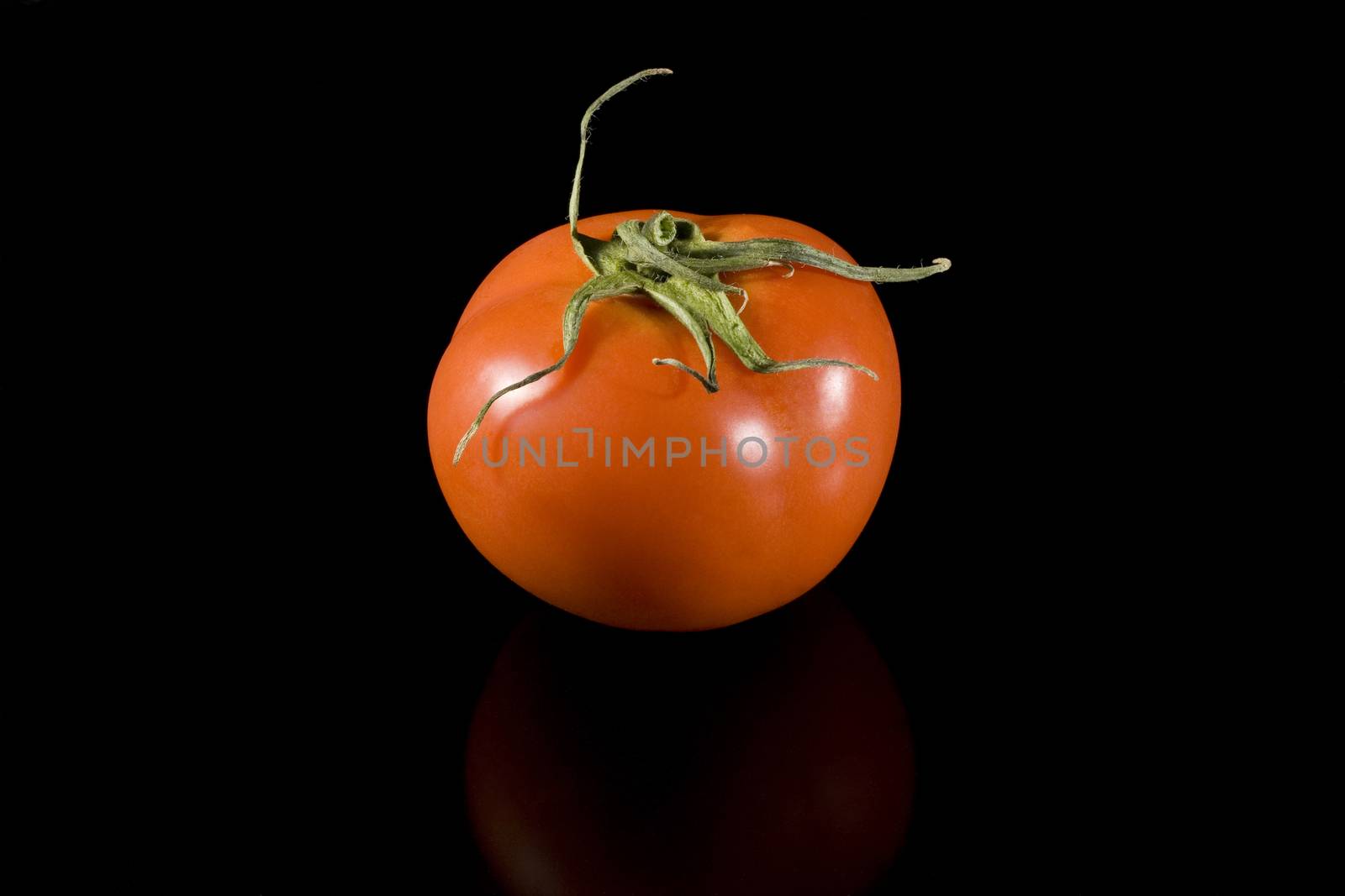 tomato by orcearo