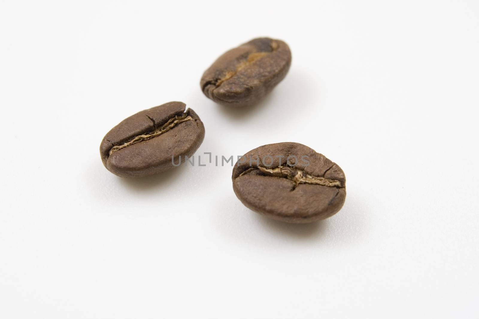 macro closeup of three brown coffee beans on white background