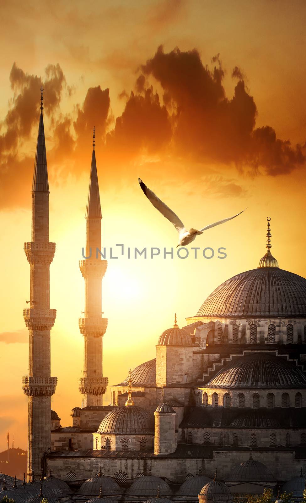 Illuminated turkish Blue Mosque in the period of Ramadan, Istanbul