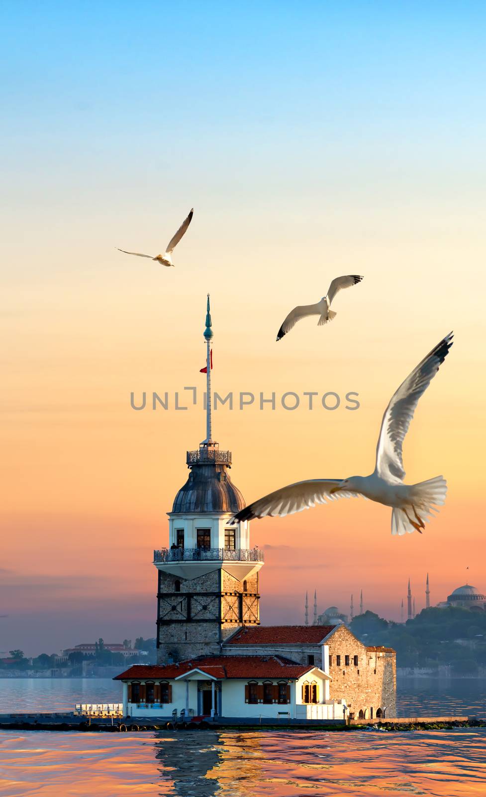 Maiden Tower and seagulls by Givaga