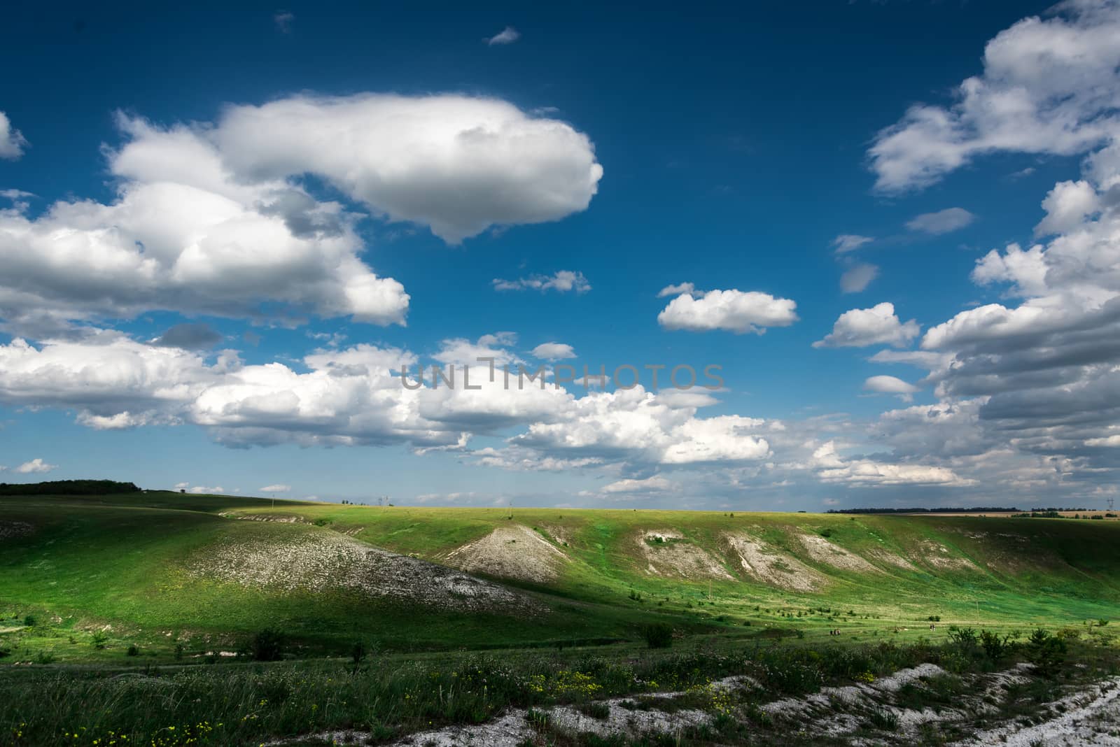 Beautiful clouds on the blue sky and summer green field landscape by claire_lucia