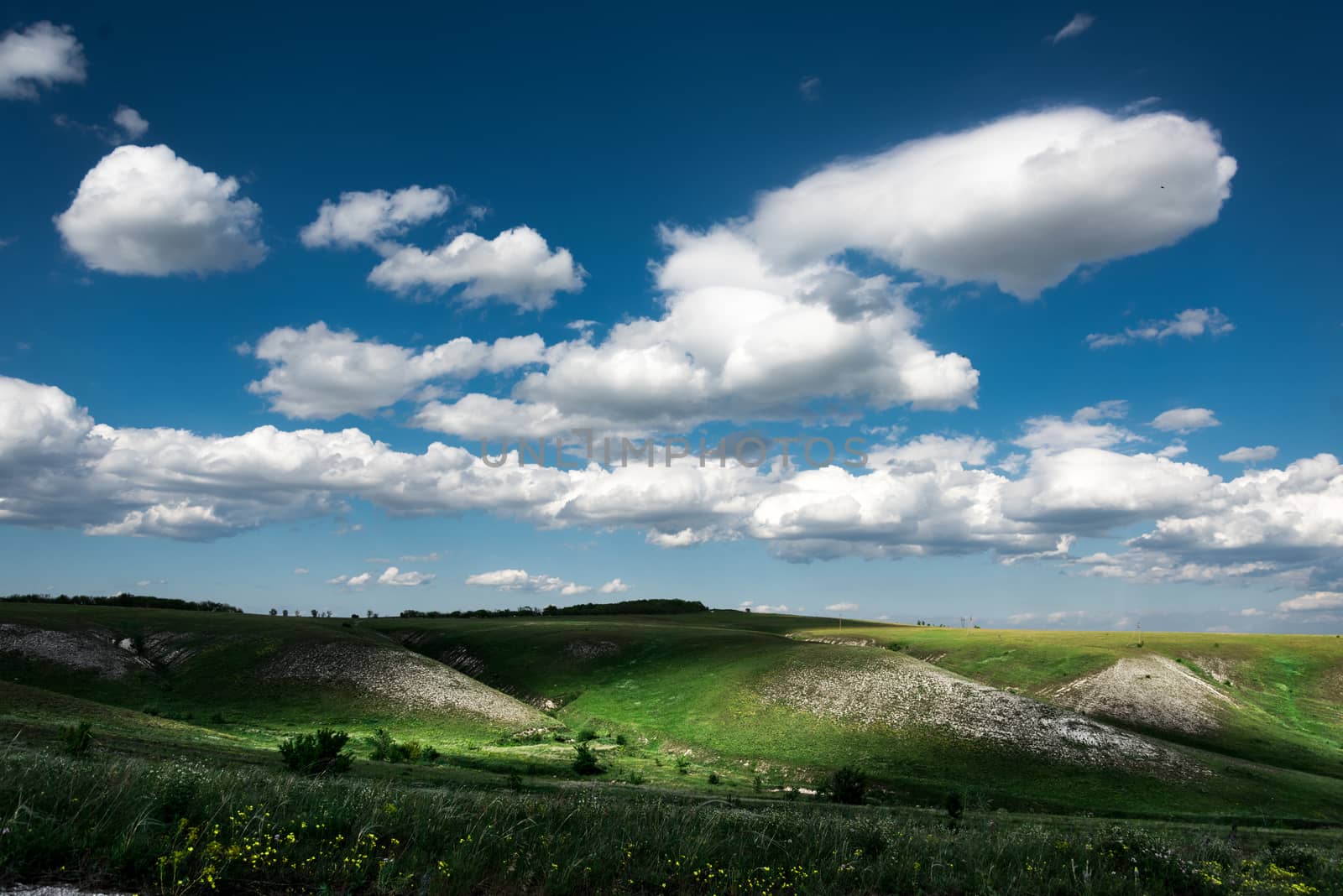 Beautiful clouds on the blue sky and summer green field landscape by claire_lucia