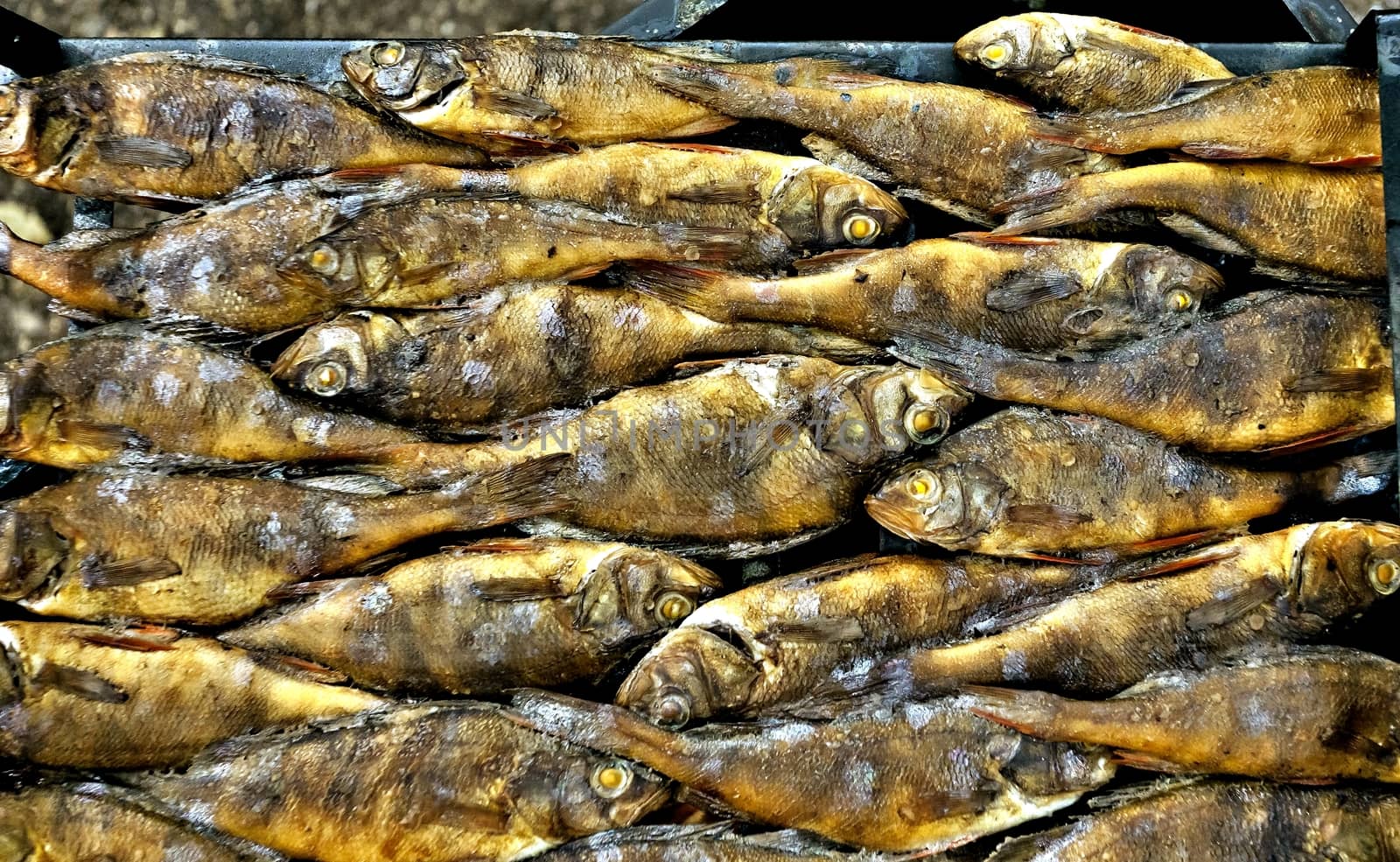 finished smoked freshwater fish of Golden color laid out on a sheet